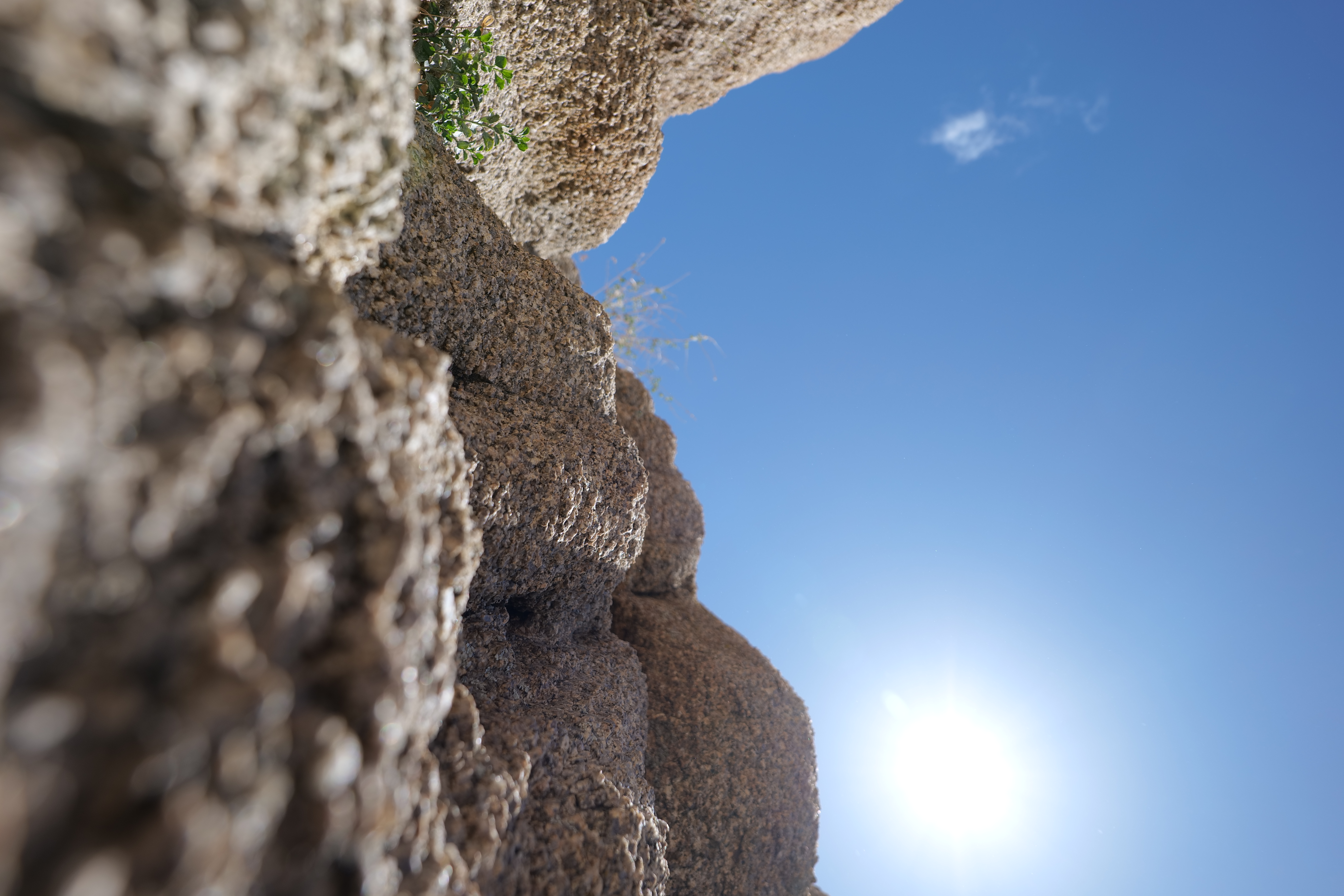 Desert Rock Detail